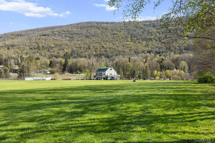 A rare opportunity to acquire and reimagine a 23.38-acre - photo 6
