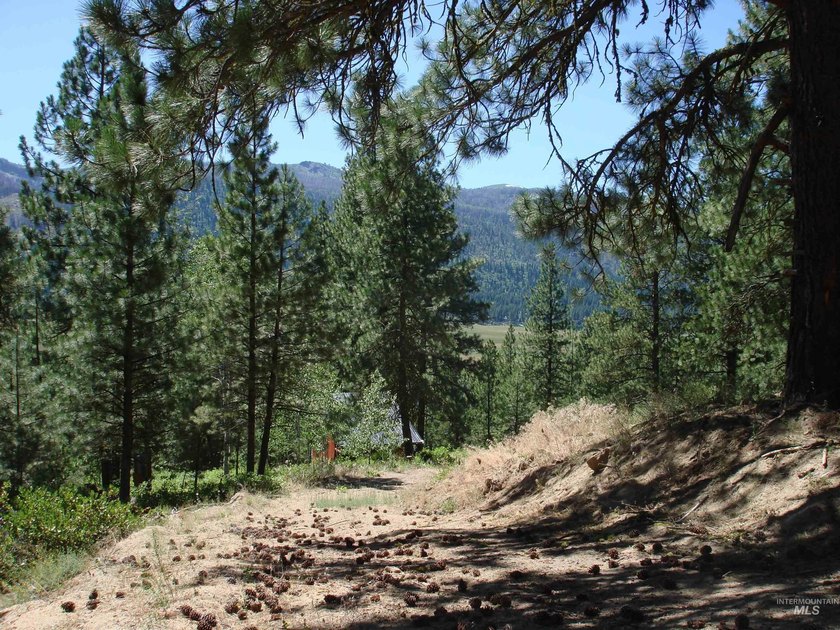 Get-away from it all with a filtered view of beautiful Cascade - photo 5