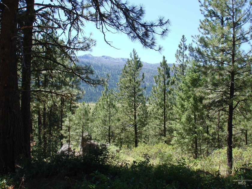 Get-away from it all with a filtered view of beautiful Cascade - photo 9