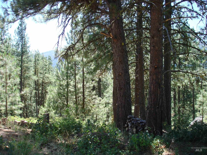 Get-away from it all with a filtered view of beautiful Cascade - photo 10