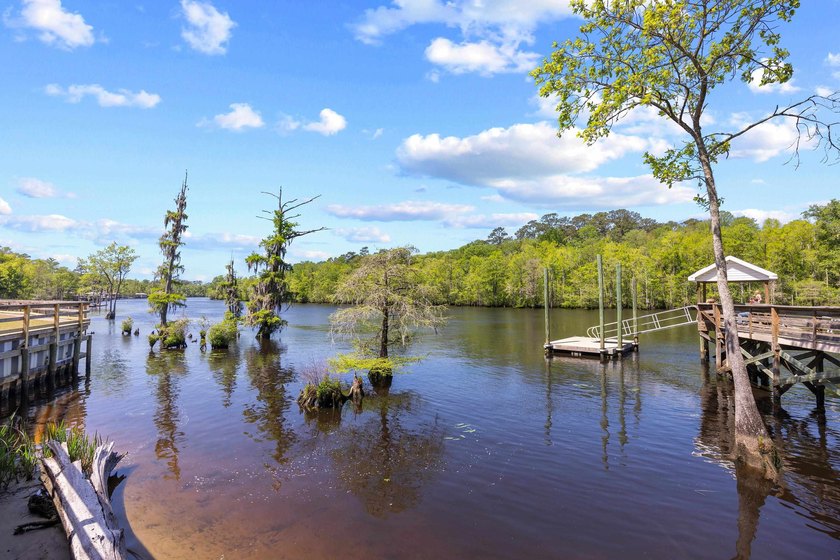 One of the most beautiful and peaceful Intracoastal Waterway - photo 37