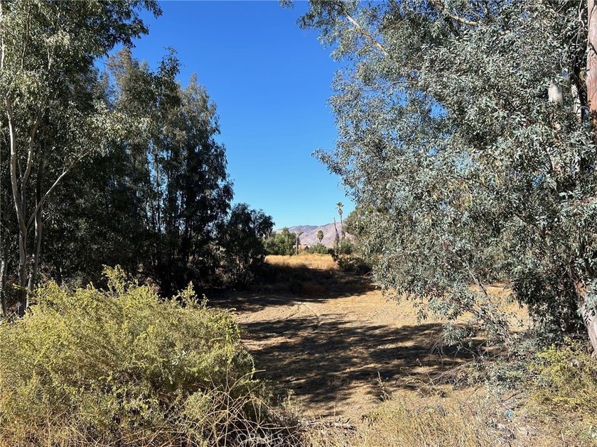 26185 Pleasant Ave - photo 4