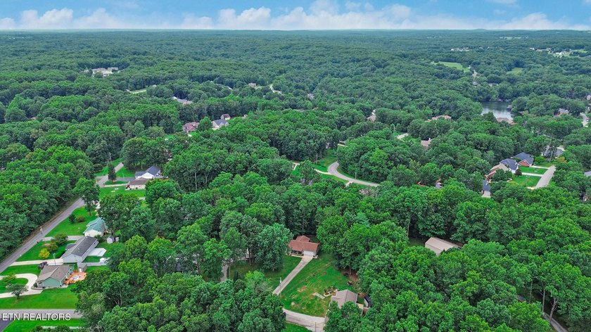 Completely Remodeled Home on a Double Lot - Move-In Ready! Don't - photo 44