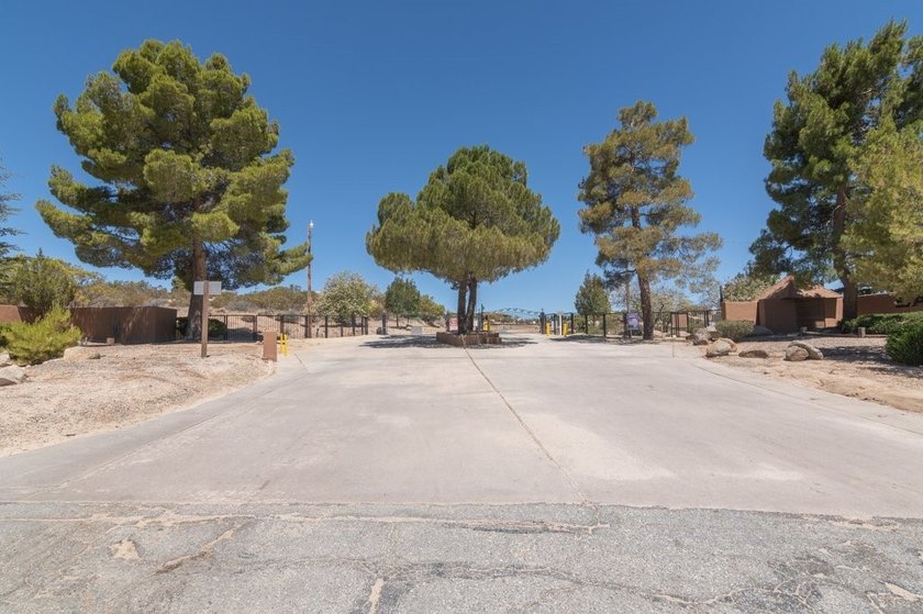 48859 Pinto Ct - photo 50