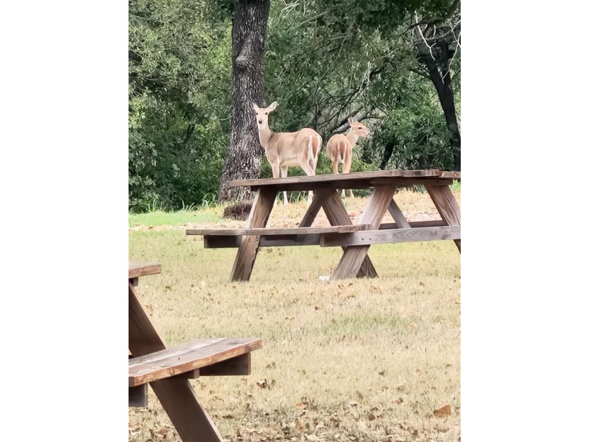 Amazing Medicine Park opportunity! This little piece of Medicine - photo 32