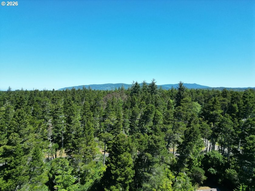 Nestled in a peaceful wooded setting within the desirable Heceta - photo 45