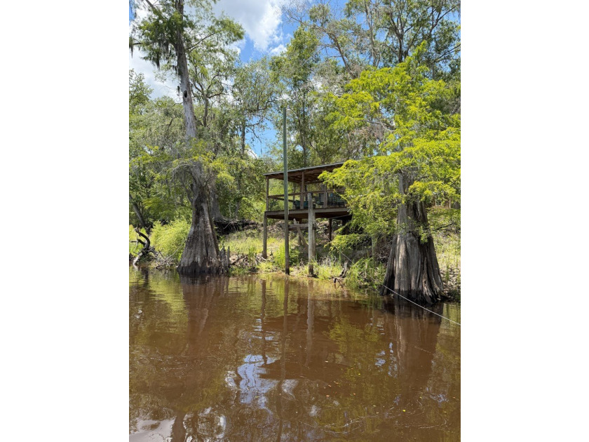 Wake up to breathtaking views of the Suwannee River from this - photo 48