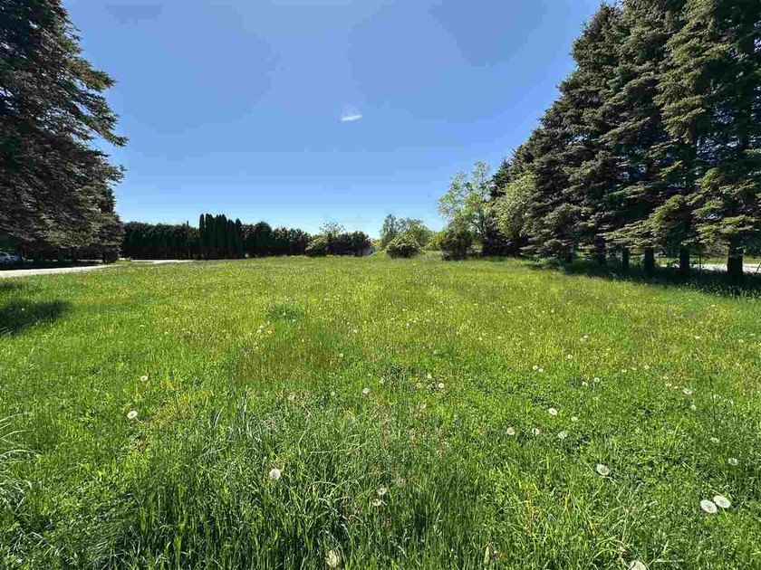 VIEWS! Stunning Lake Charlevoix views on a 1+ acre property - photo 35