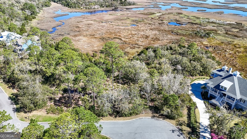 Marsh front building site on cul-de-sac in the gated community - photo 11