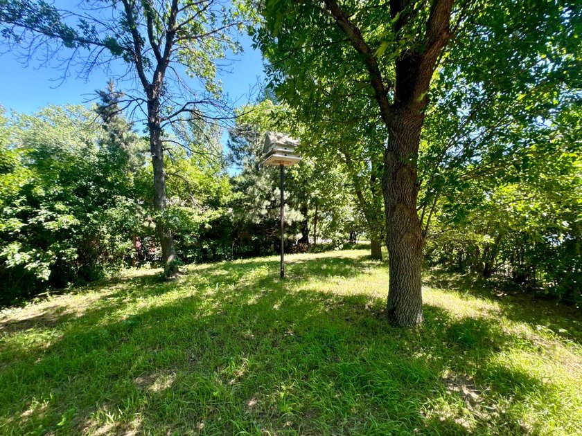 This two-story home tucked in quietly along the South shore of - photo 50