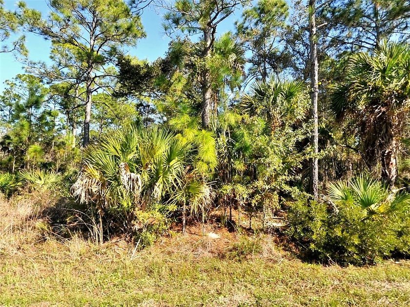Residential Lot Available in North Port, FL located in Sarasota - photo 2
