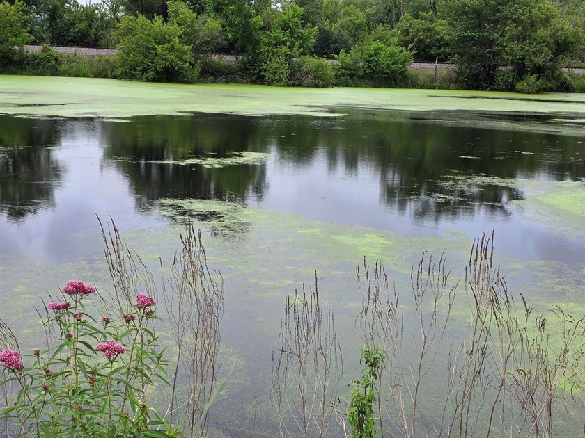 Unique 4-acre recreational parcel located along the Mississippi - photo 5