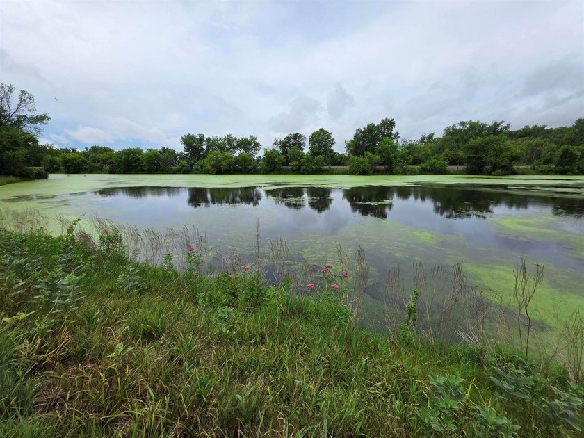 Unique 4-acre recreational parcel located along the Mississippi - photo 6
