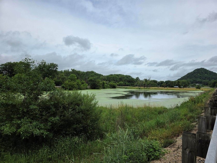 Unique 4-acre recreational parcel located along the Mississippi - photo 7
