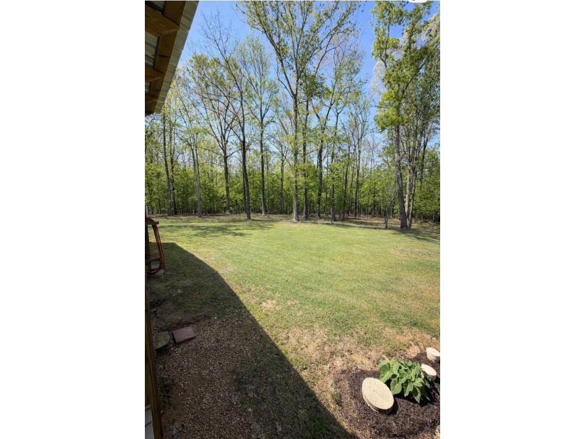 HOLCOMB, MS HOME FOR SALE!!! Looking for a house in the country - photo 32