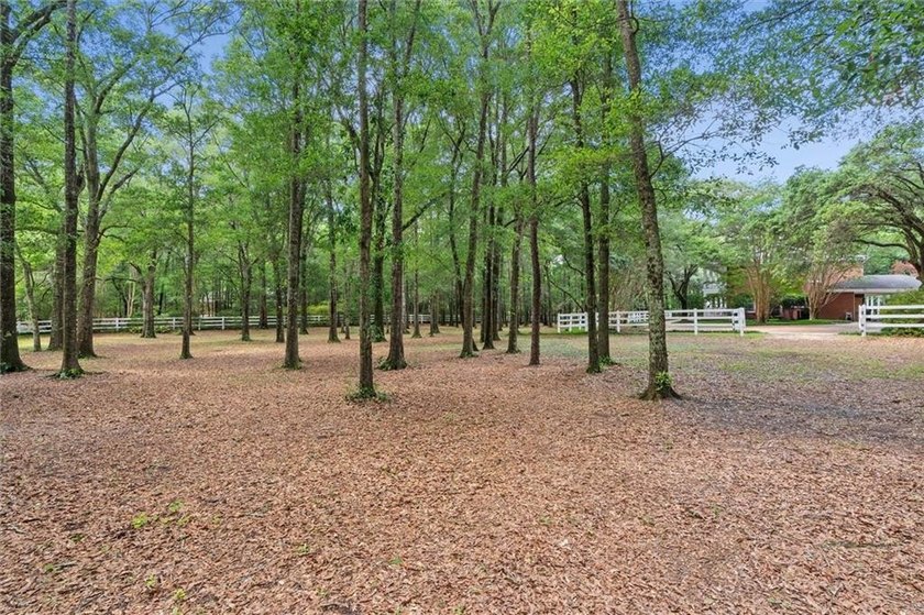 Stately southern elegance situated on a lush 2.6 acre wooded lot - photo 42