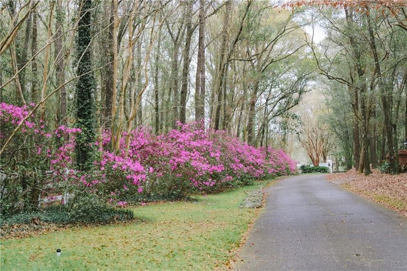 Stately southern elegance situated on a lush 2.6 acre wooded lot - photo 45