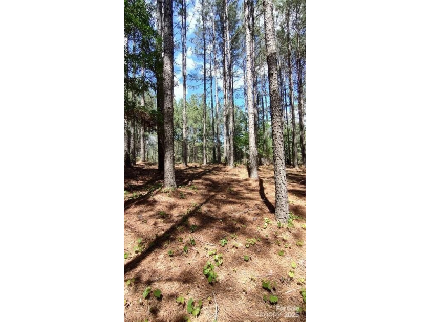 Welcome to Broad River Highlands in Mooresboro! This large lot - photo 14