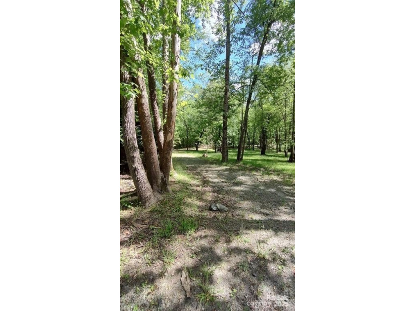 Welcome to Broad River Highlands in Mooresboro! This large lot - photo 31