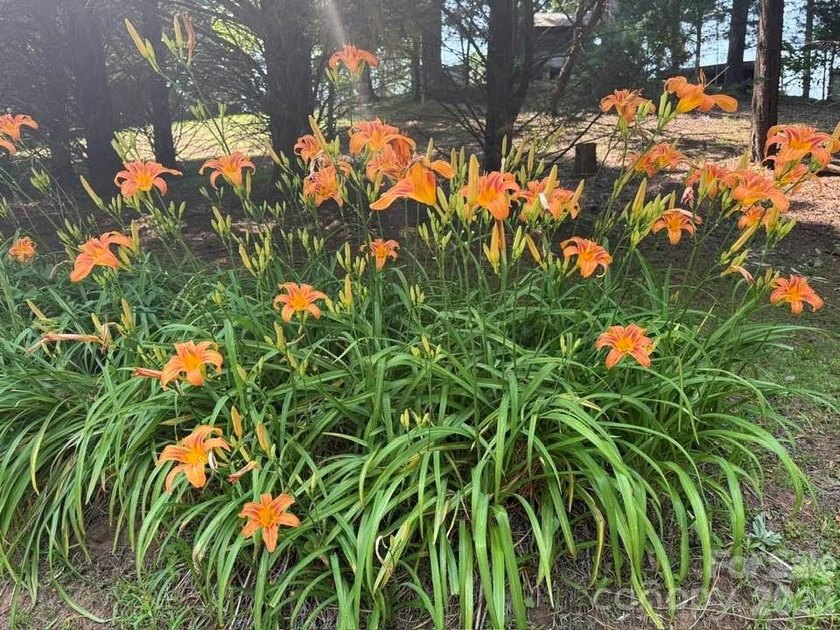 Escape to your own private mountain retreat! Nestled on 3.83 - photo 25