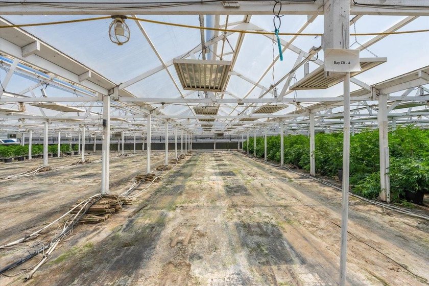 Riverview Farms is a 22.3-acre, two-parcel cannabis cultivation - photo 14