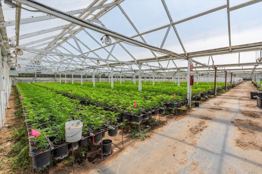 Riverview Farms is a 22.3-acre, two-parcel cannabis cultivation - photo 16