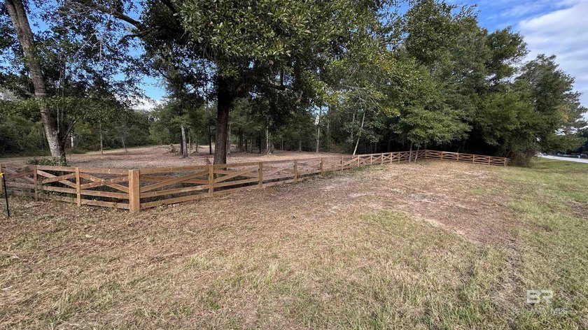 NEWLY PRICED! Beautiful residential acreage with mature oaks - photo 3
