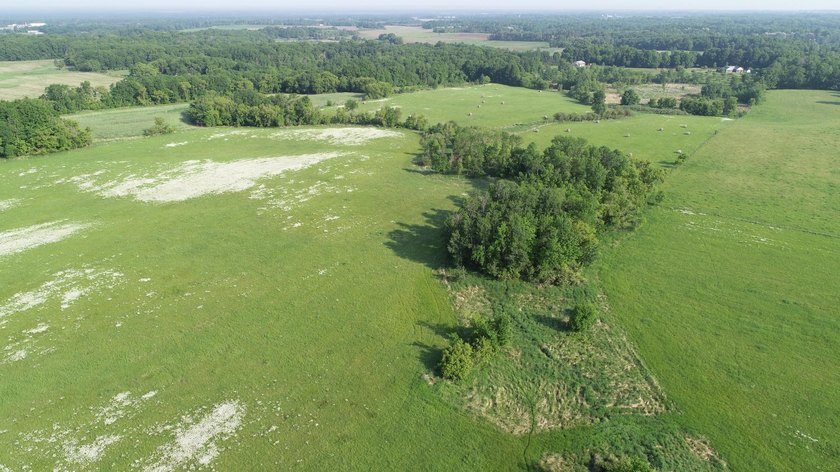 A rare find! 38 pristine organic acres located just 8 miles west - photo 3