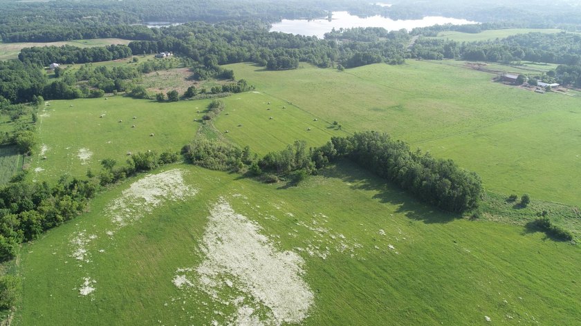 A rare find! 38 pristine organic acres located just 8 miles west - photo 6