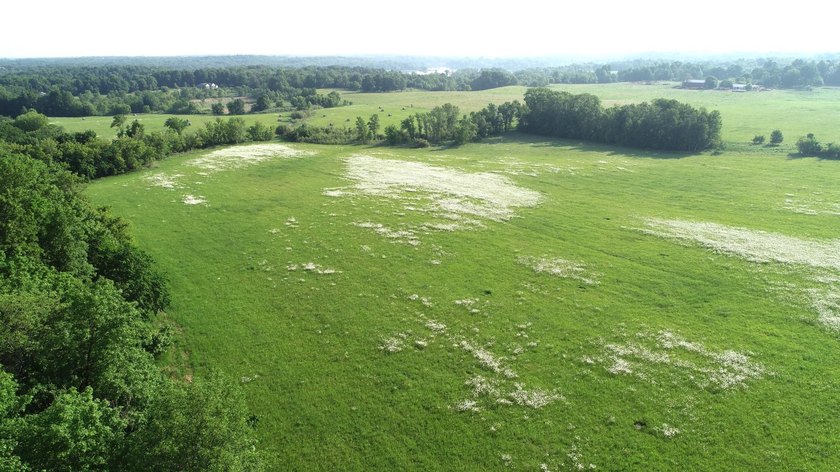 A rare find! 38 pristine organic acres located just 8 miles west - photo 7