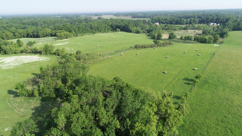A rare find! 38 pristine organic acres located just 8 miles west - photo 8