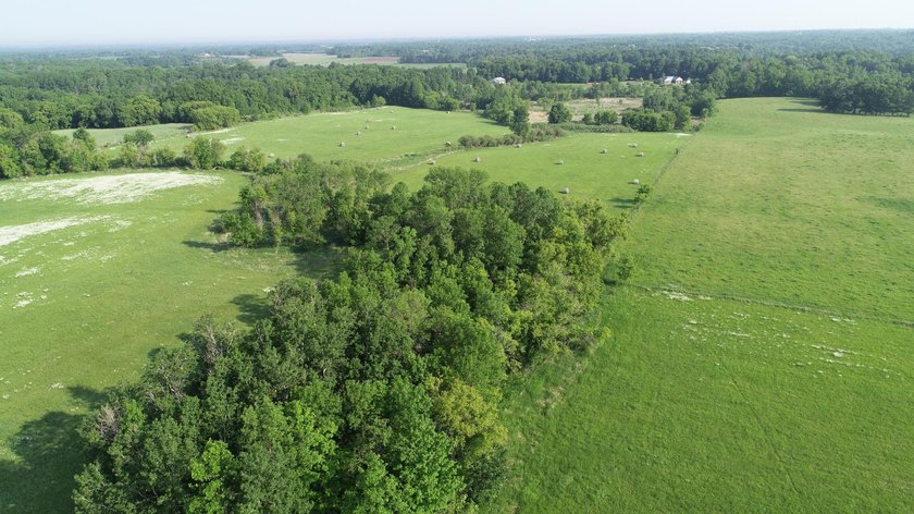 A rare find! 38 pristine organic acres located just 8 miles west - photo 9