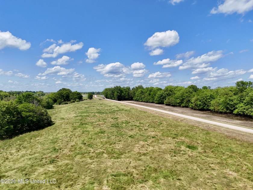168+/- acres of pastureland just outside Vicksburg offering a - photo 11