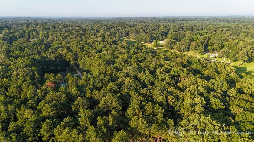 Opportunities to own smaller acreage with both homesite - photo 11