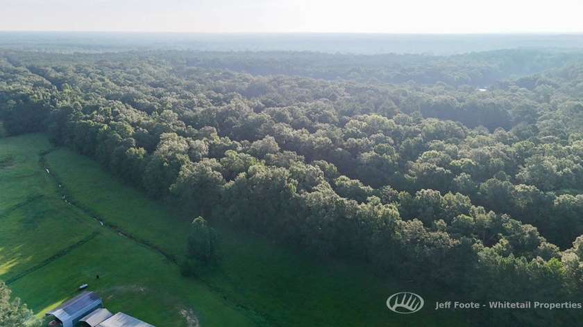 Opportunities to own smaller acreage with both homesite - photo 13