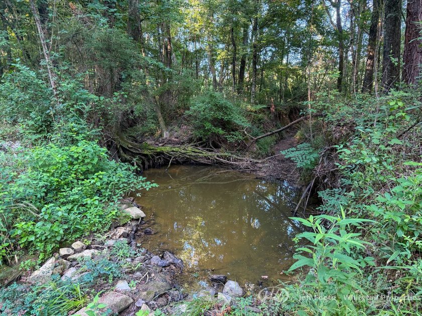 Opportunities to own smaller acreage with both homesite - photo 15
