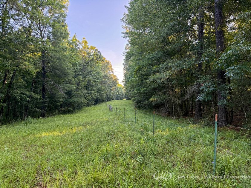 Opportunities to own smaller acreage with both homesite - photo 17
