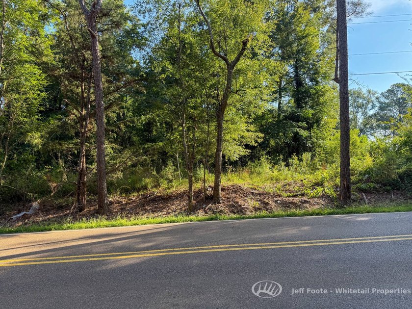 Opportunities to own smaller acreage with both homesite - photo 18
