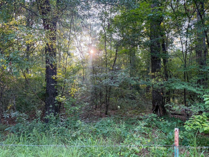 Opportunities to own smaller acreage with both homesite - photo 19