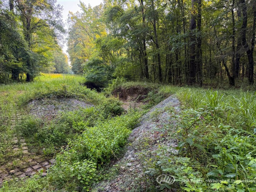 Opportunities to own smaller acreage with both homesite - photo 20