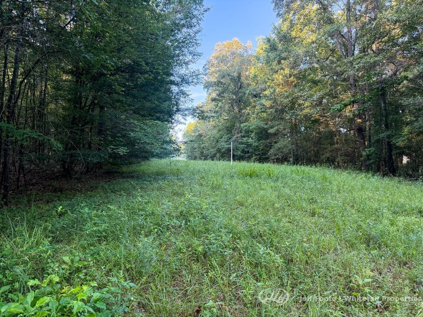 Opportunities to own smaller acreage with both homesite - photo 22