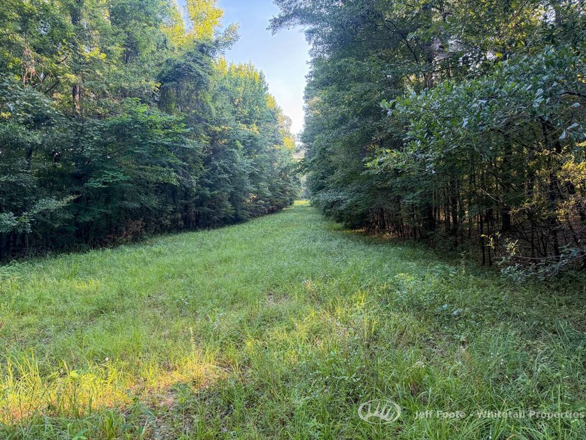 Opportunities to own smaller acreage with both homesite - photo 23