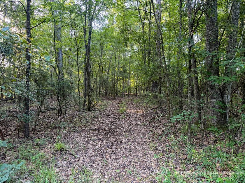 Opportunities to own smaller acreage with both homesite - photo 24