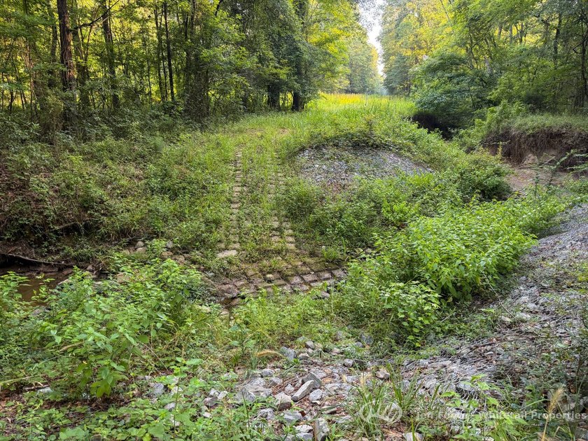 Opportunities to own smaller acreage with both homesite - photo 25