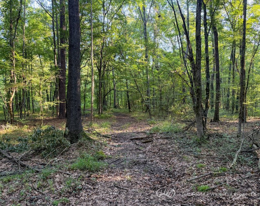 Opportunities to own smaller acreage with both homesite - photo 26