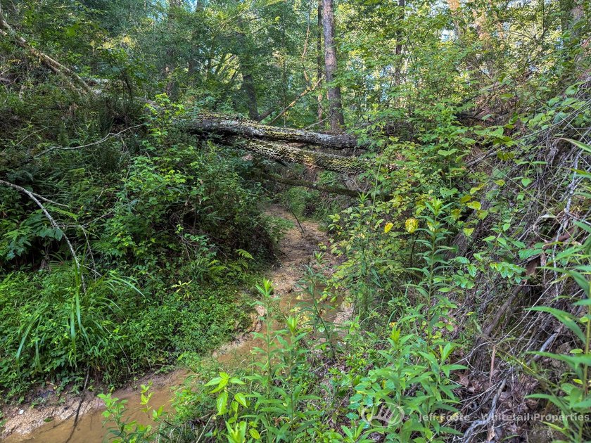 Opportunities to own smaller acreage with both homesite - photo 27