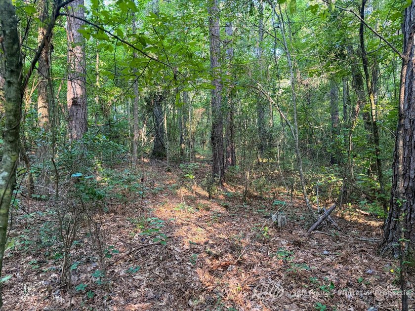 Opportunities to own smaller acreage with both homesite - photo 28