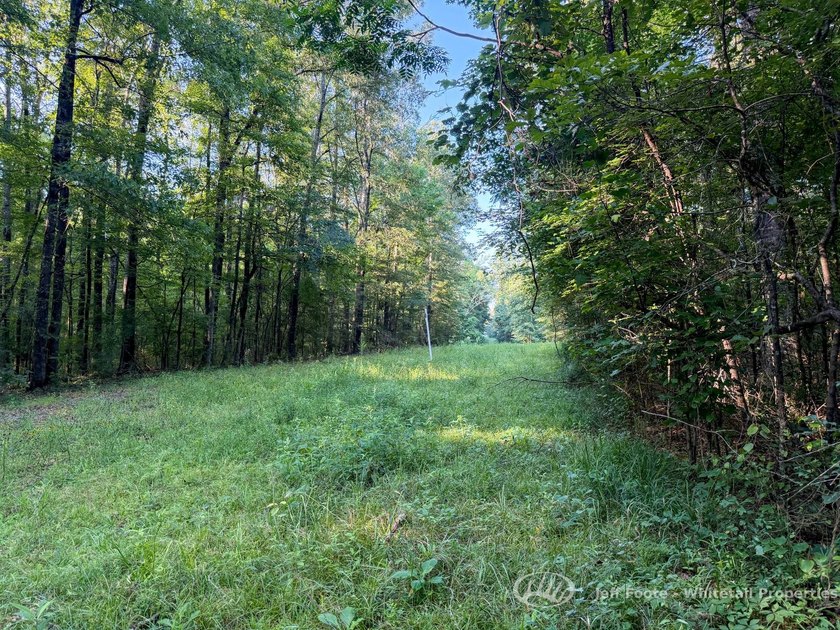 Opportunities to own smaller acreage with both homesite - photo 30