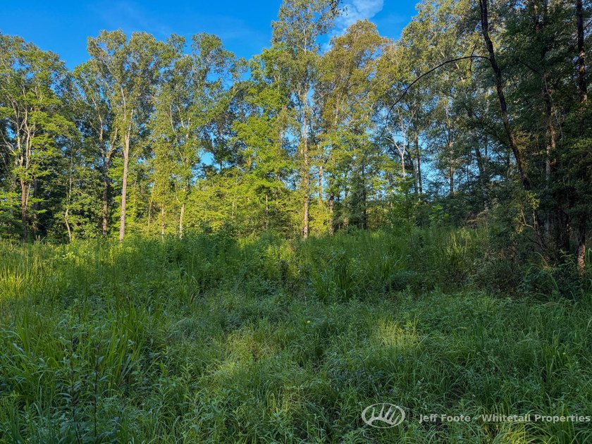 Opportunities to own smaller acreage with both homesite - photo 31