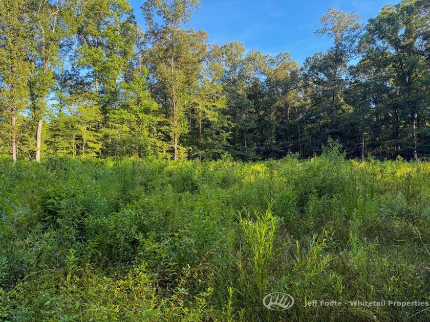 Opportunities to own smaller acreage with both homesite - photo 32
